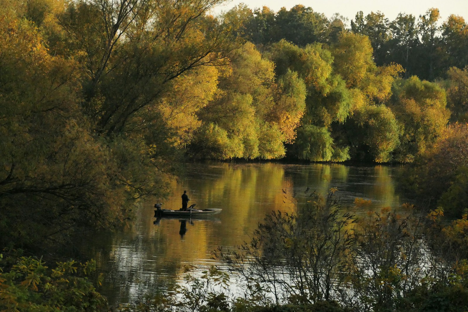 Mapa Wód PZW - Twoja Kompleksowa Przewodnik po Najlepszych Miejscach Wędkarskich w Polsce
