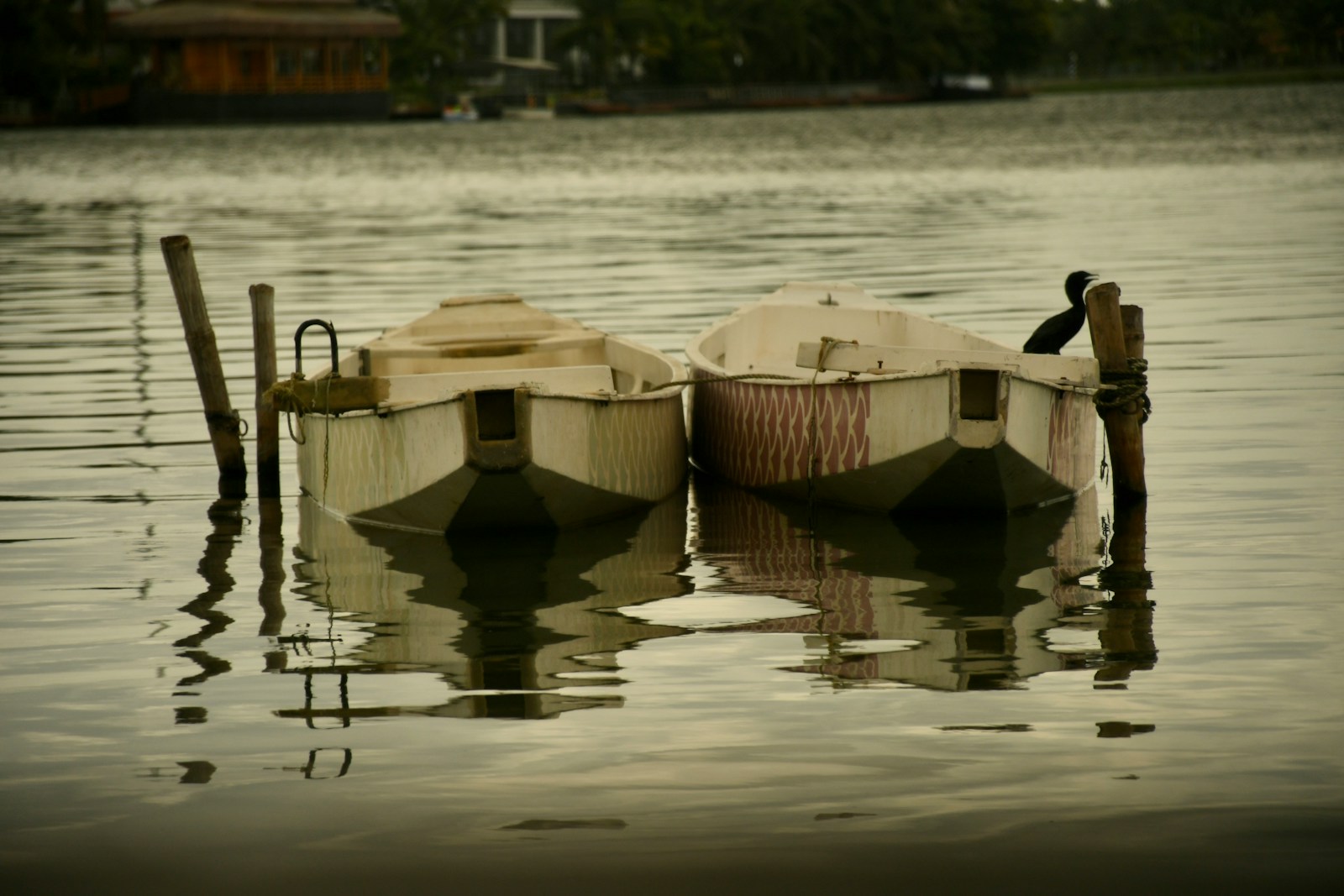 Zaskakujące trendy w branżach rozrywkowej i wędkarskiej - Brania ryb dzisiaj czyli nowa fala ekologicznej rozrywki!